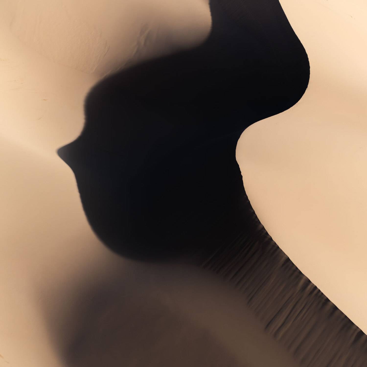 , Бушков Евгений