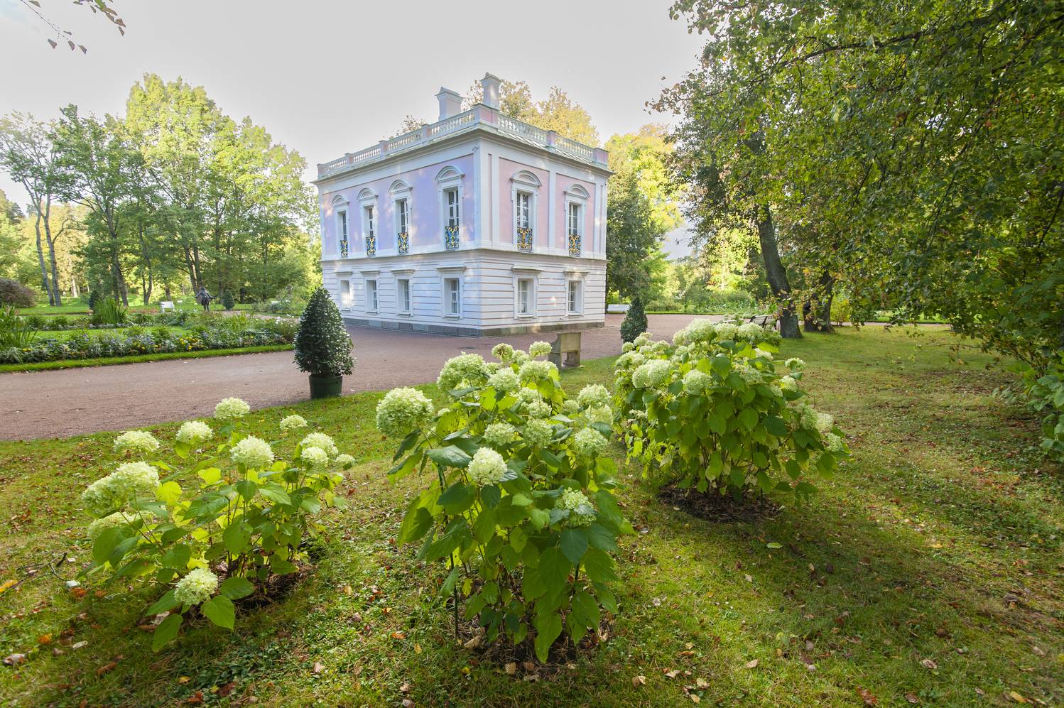 , Георгий Сапожников