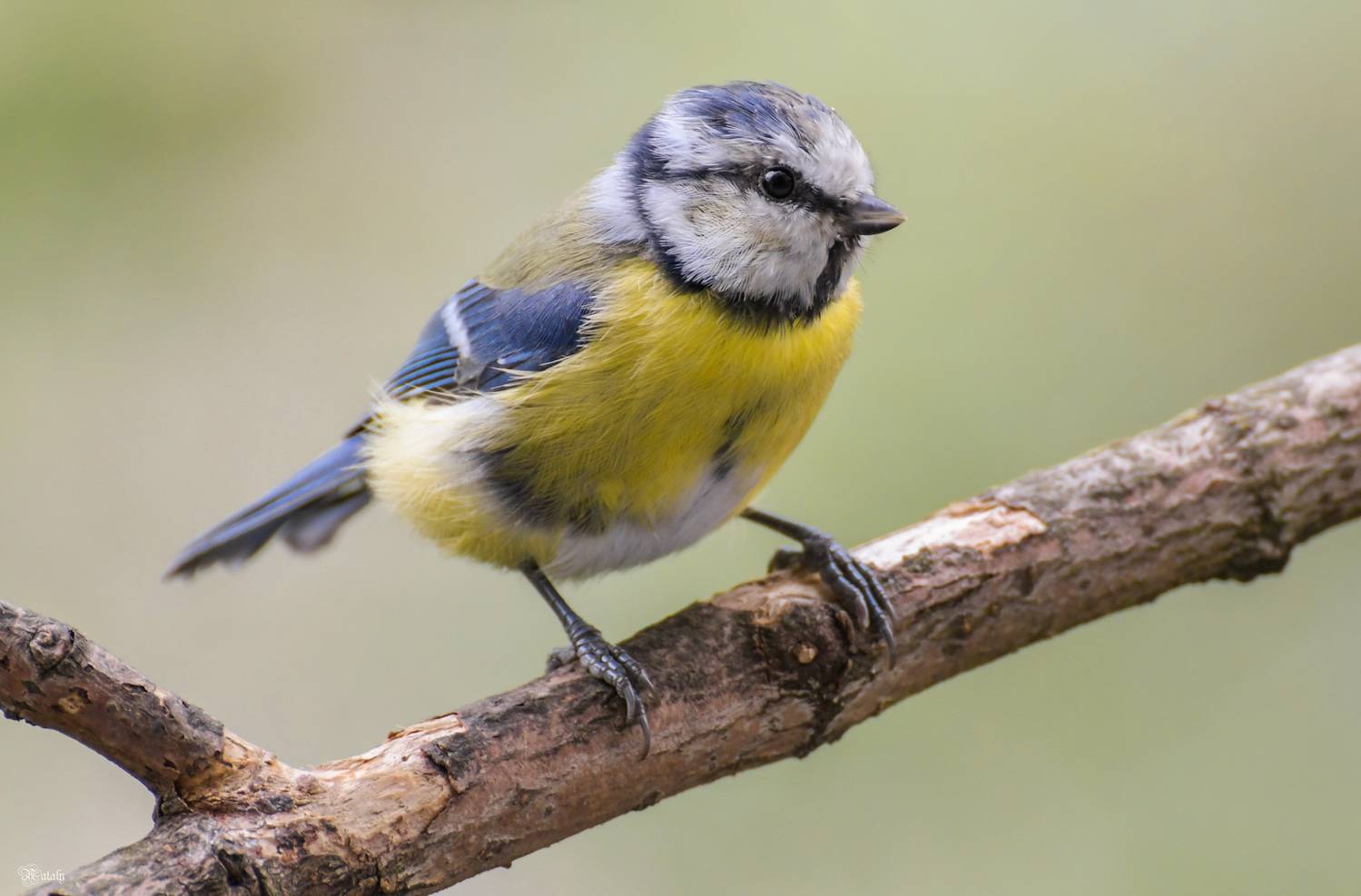 , Наталья Екимова