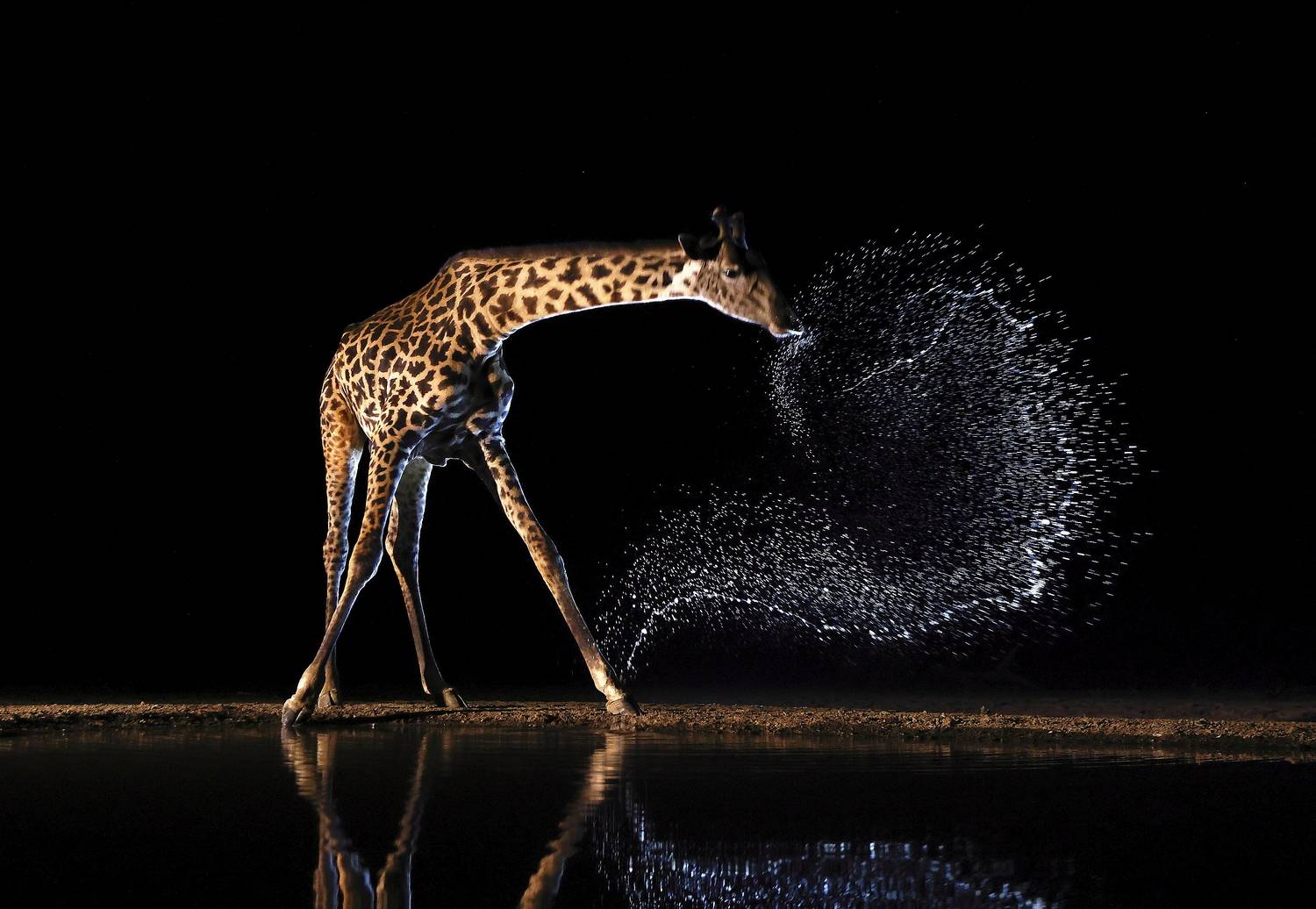 , Гудков Андрей