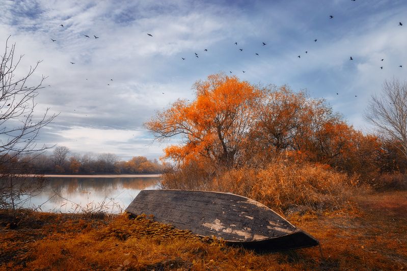 У реки Кубань фото превью