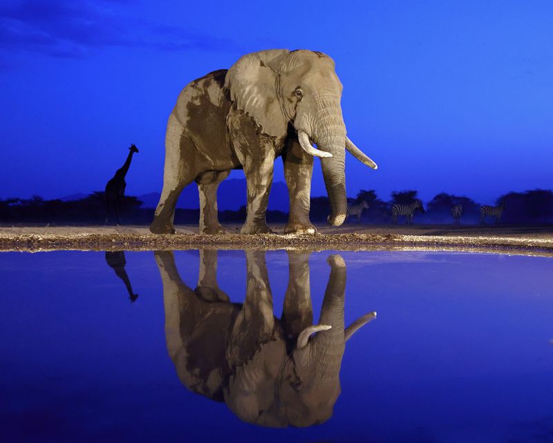 фото превью