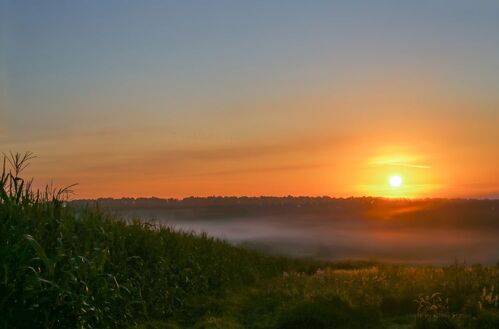 Новый день..