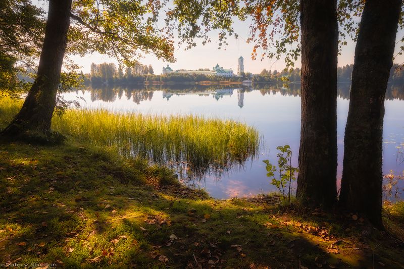 На берегах Рощинского озера фото превью