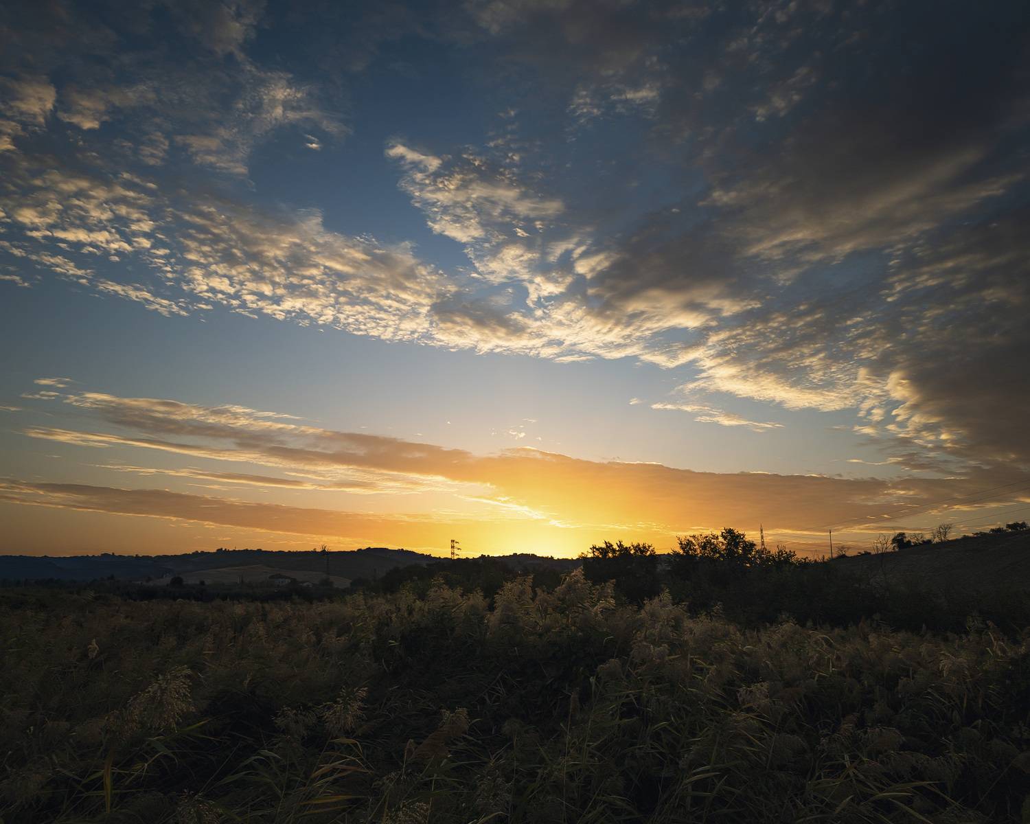 , Denis Cristian BURMELEAC