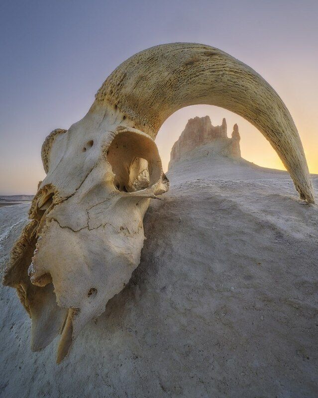 Босжира фото превью