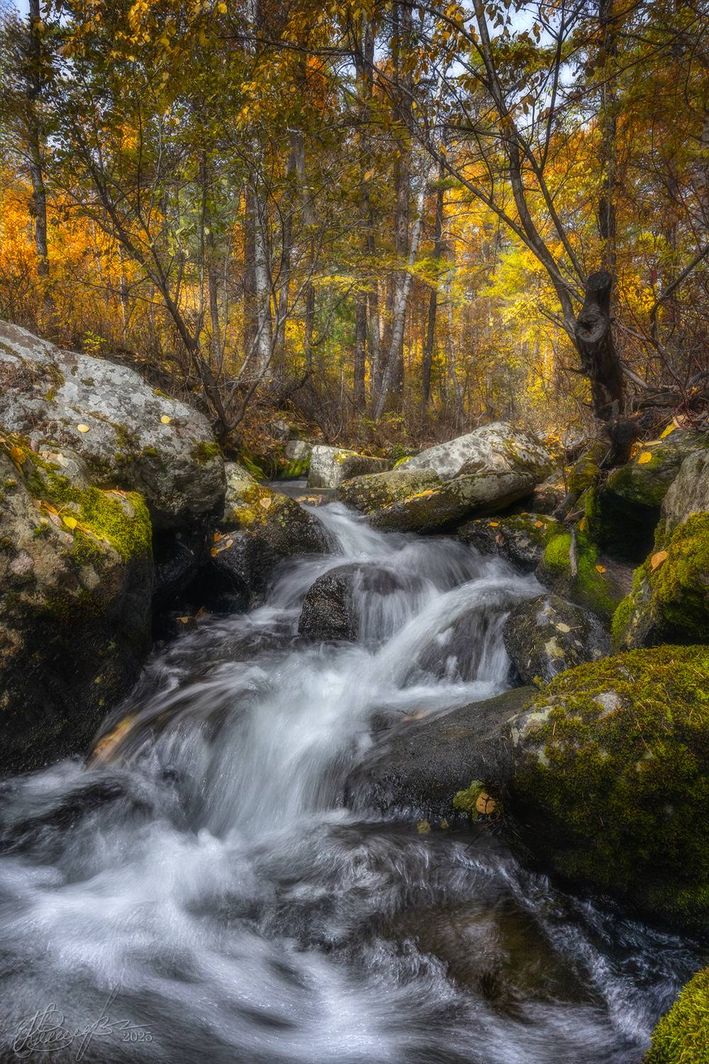 , Владимир Климов