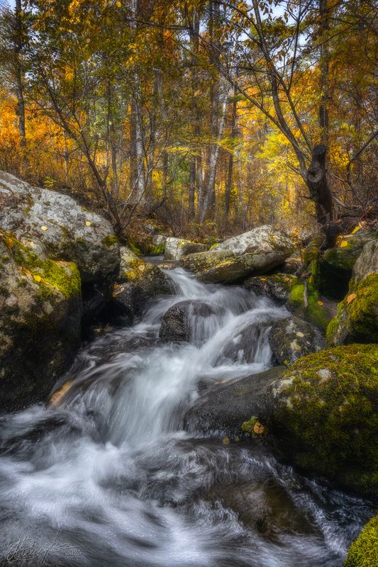 Алханай животворящий 3. фото превью