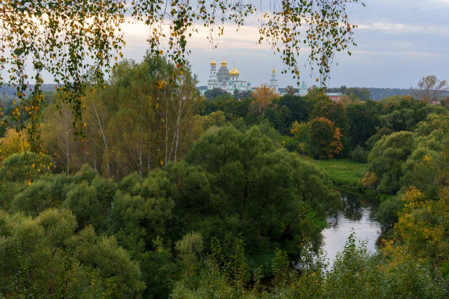 , Добродий Михаил