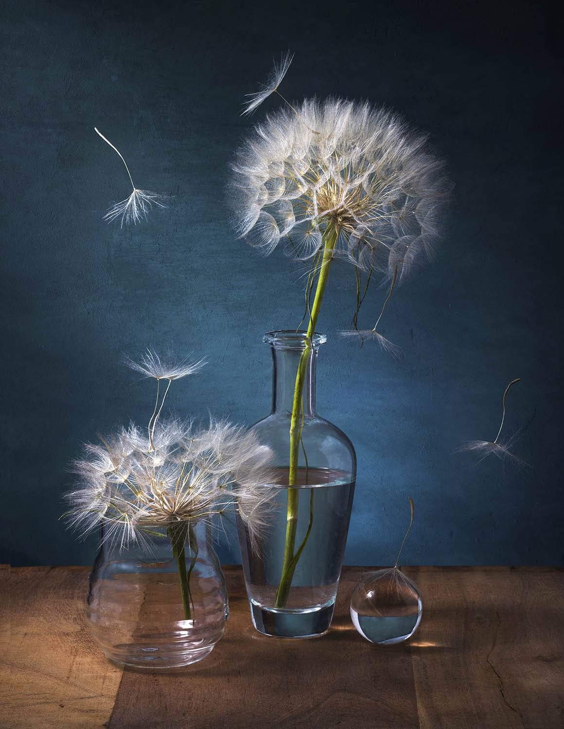 , Солодар Виктория