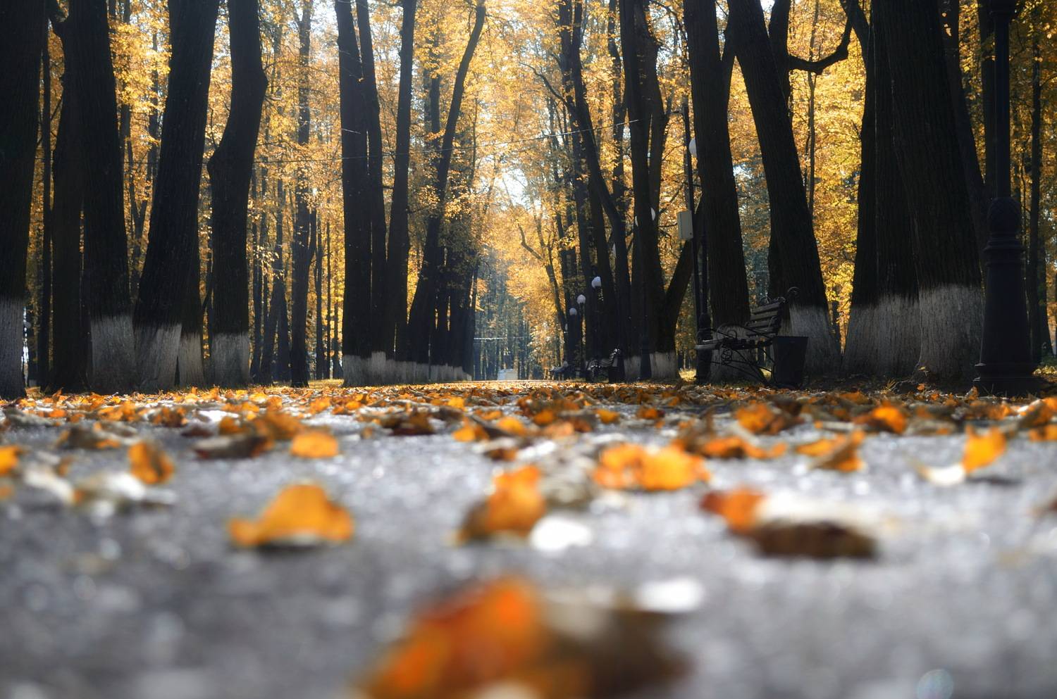 , Сергей Клапишевский