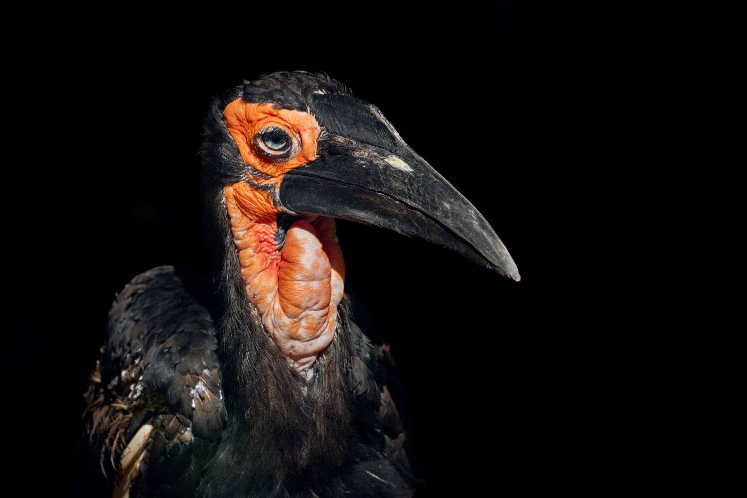 , ssmirs Сергей