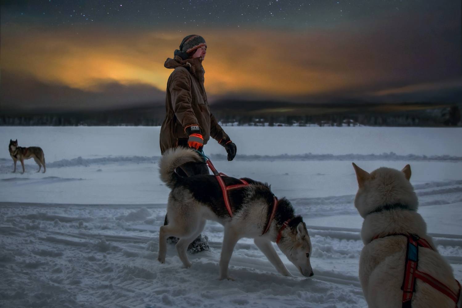 , Вадим Городницкий