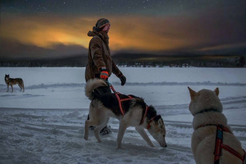 Дама с собачкой фото превью
