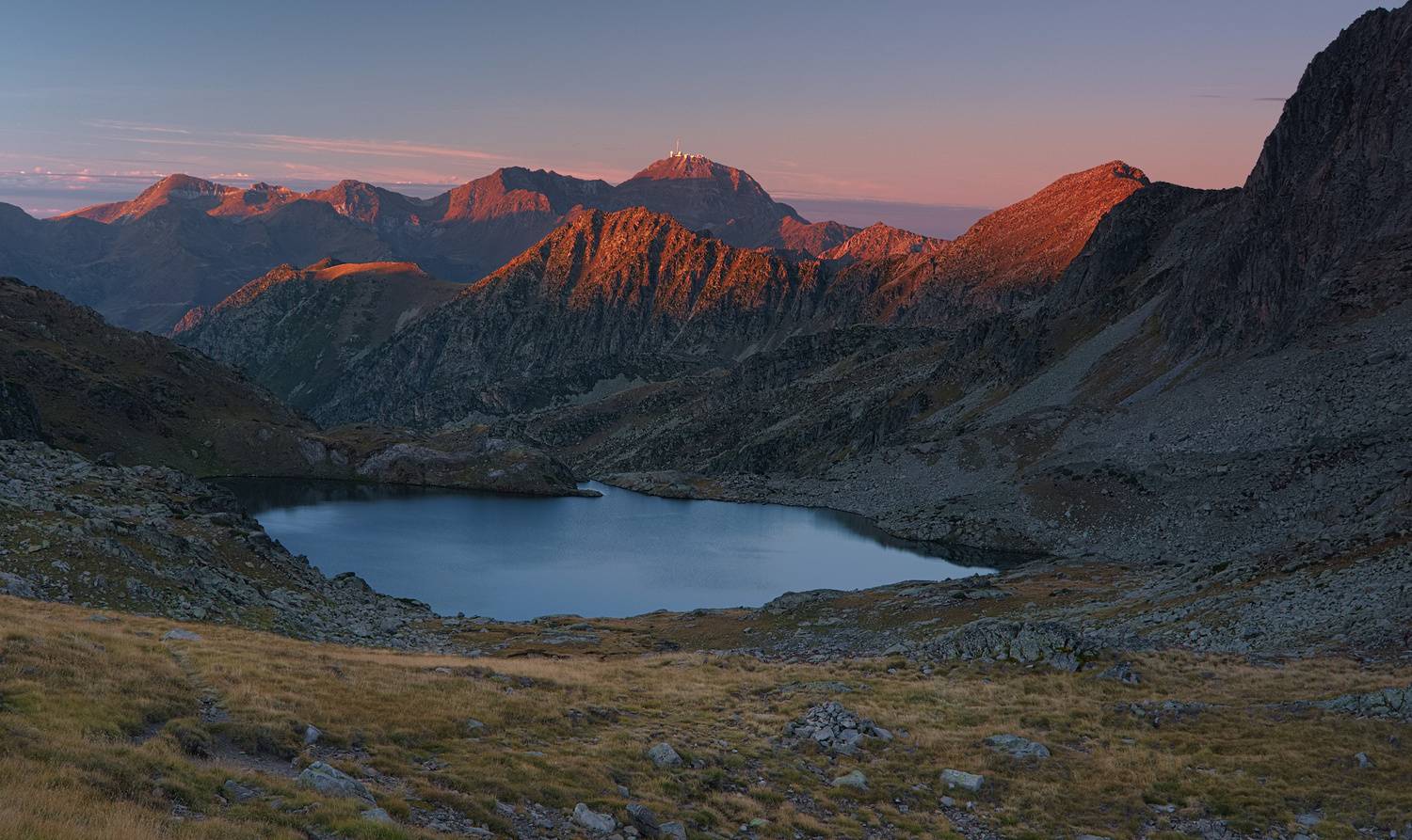 , Wojciech Tarnowski