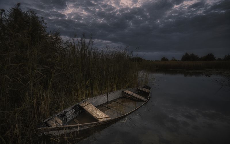 +++ фото превью