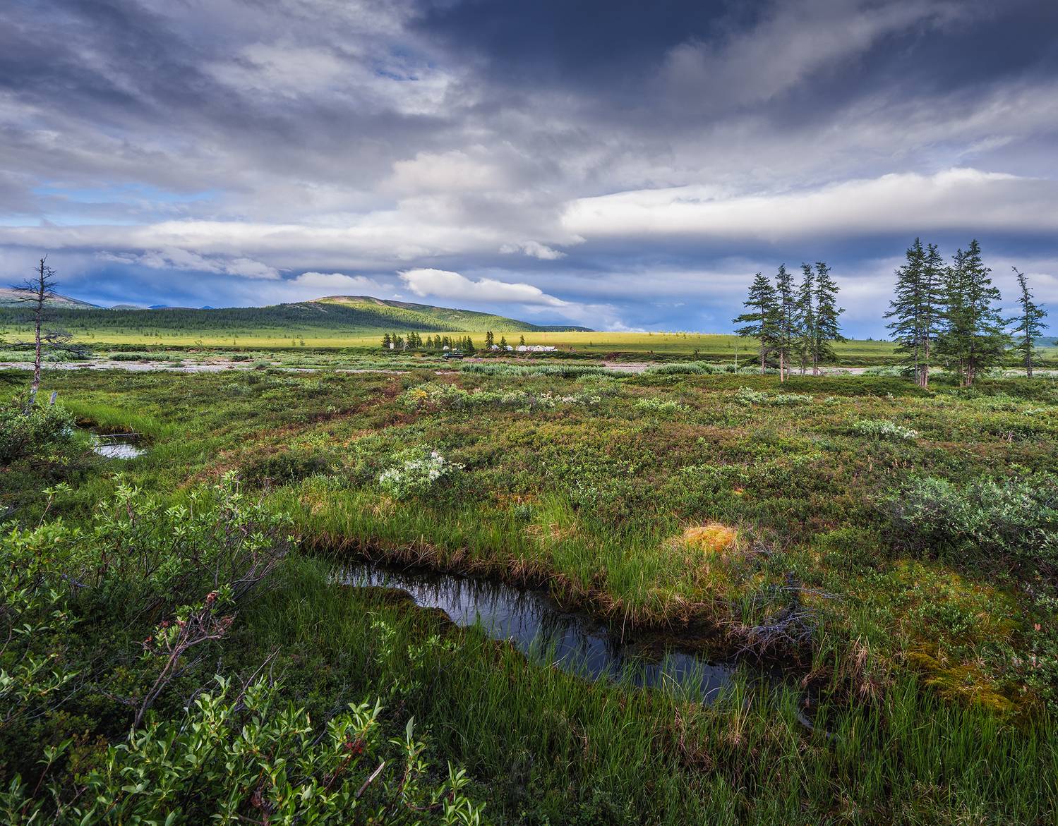 , Андреев Николай