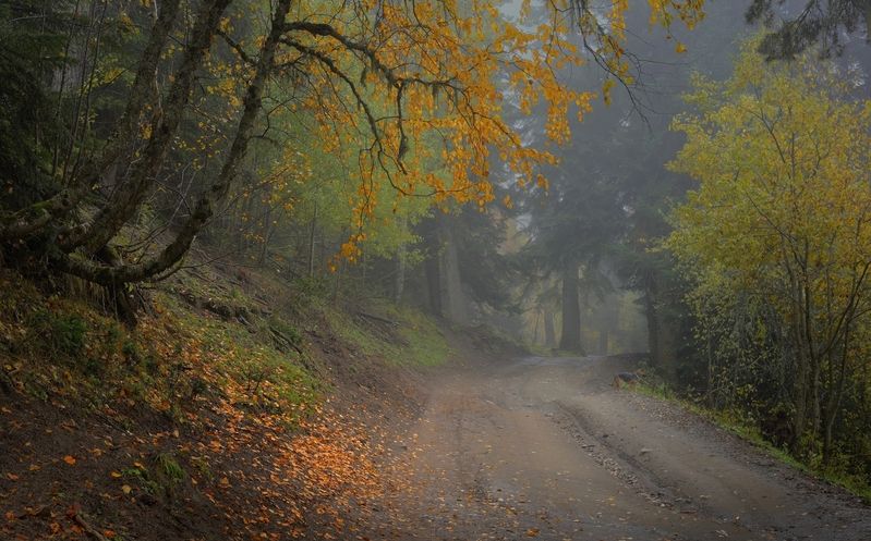 Дорога на Софийскую поляну фото превью