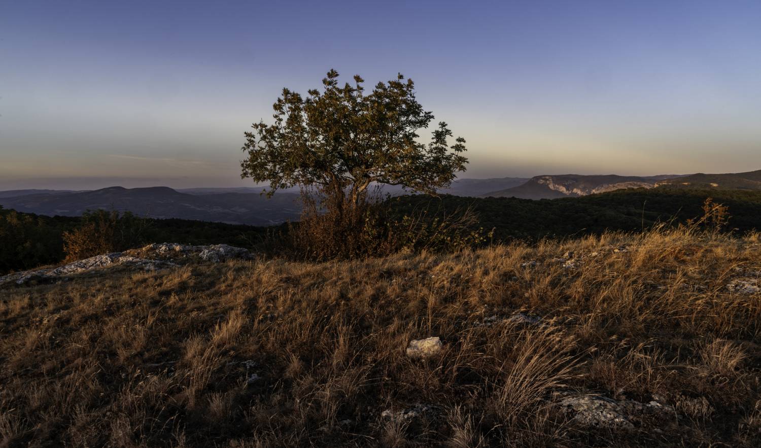 Россия, Крым, Бахчисарайский район, Голубинское сельское поселение, гора Бечку, Кабаний, Хамильский перевал, закат, дерево, , Гаврилов Юрий