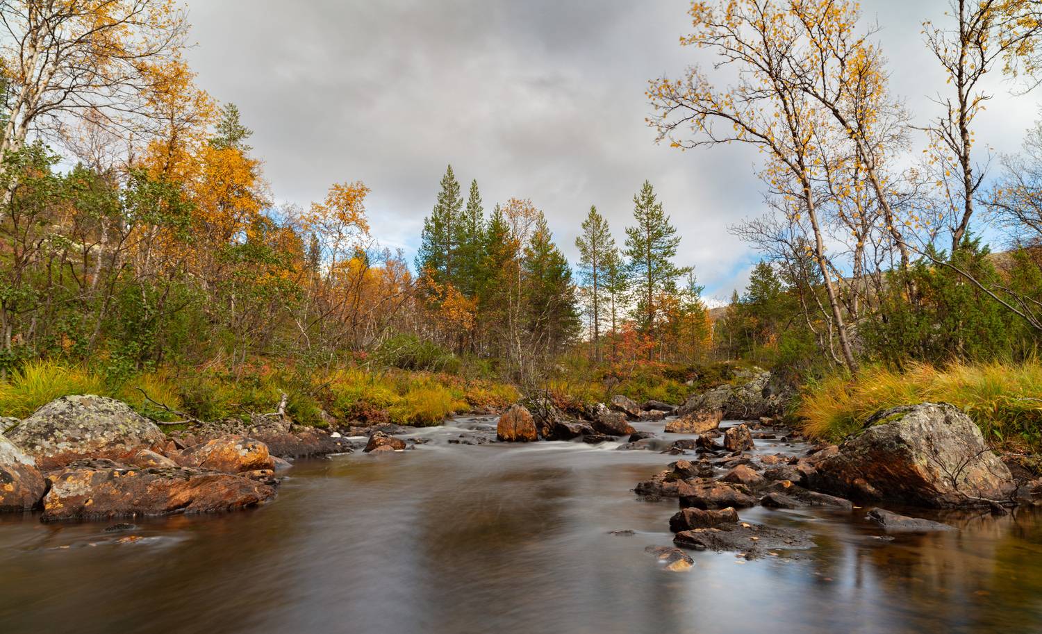 , Ворошилов Александр
