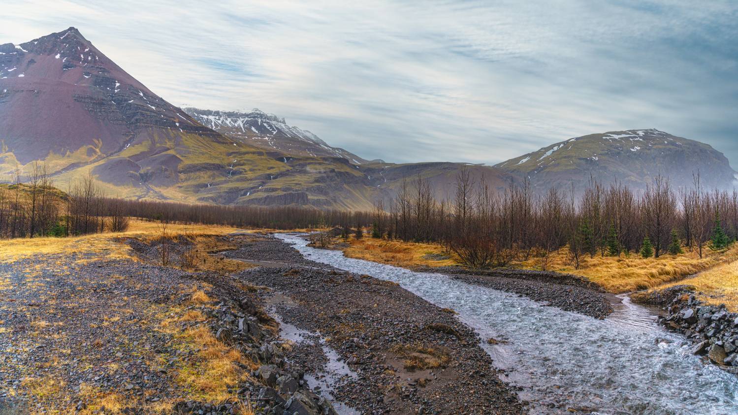 , Шварцман Евгений