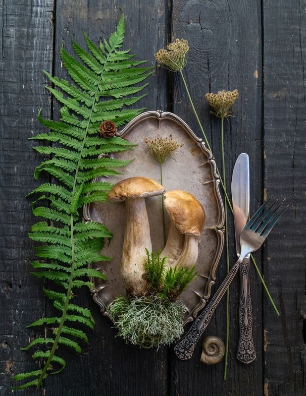 ГрЫбной сезон))) фото превью