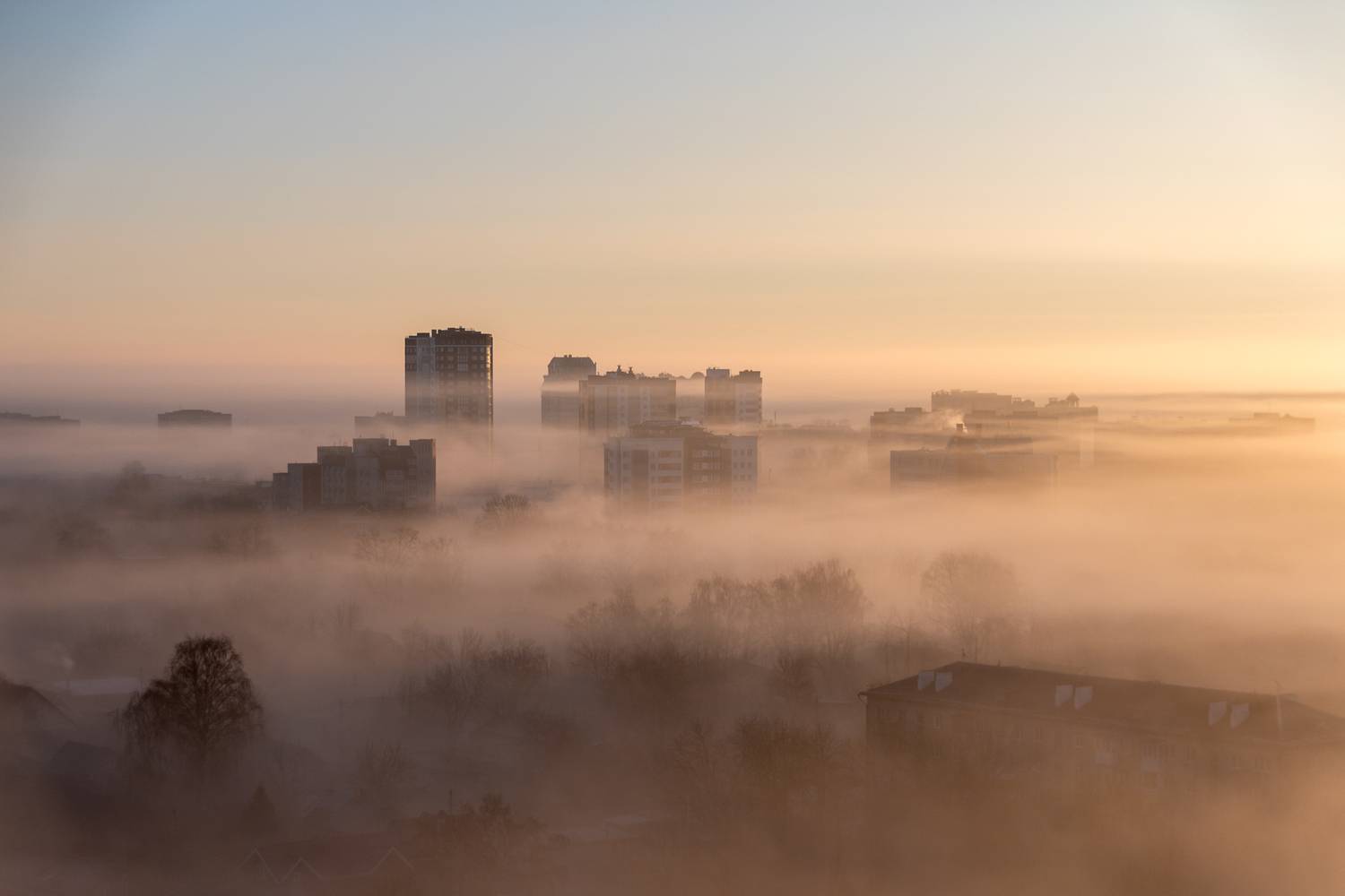 , Елена Ефимова