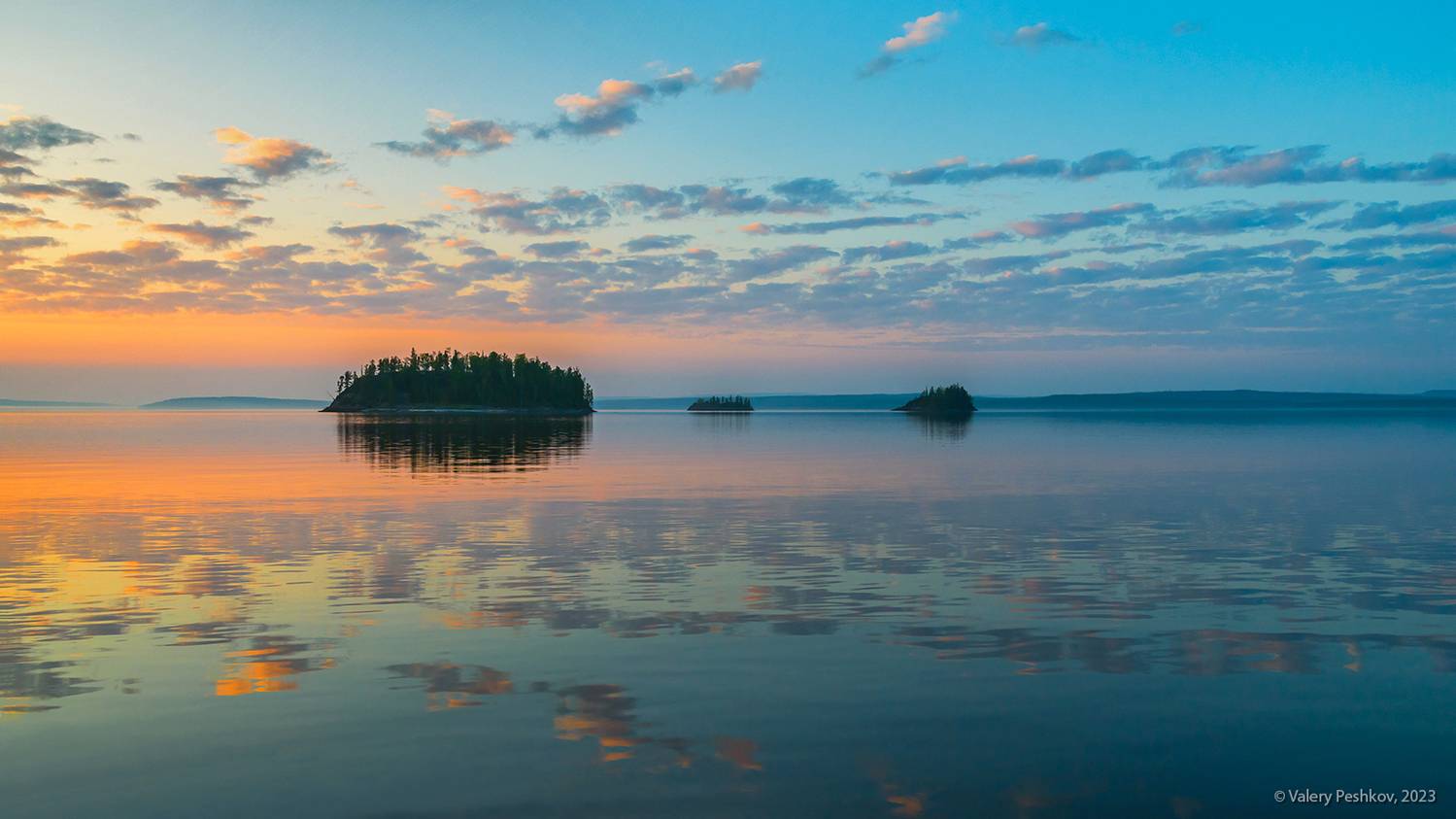 курейское водохранилище, плато путорана, предзимье, осень, лиственницы, стволы, таймыр, заполярье, владимир коваль, Пешков Валерий