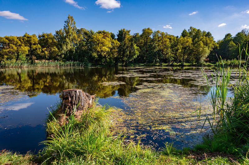 Абсолютный штиль фото превью