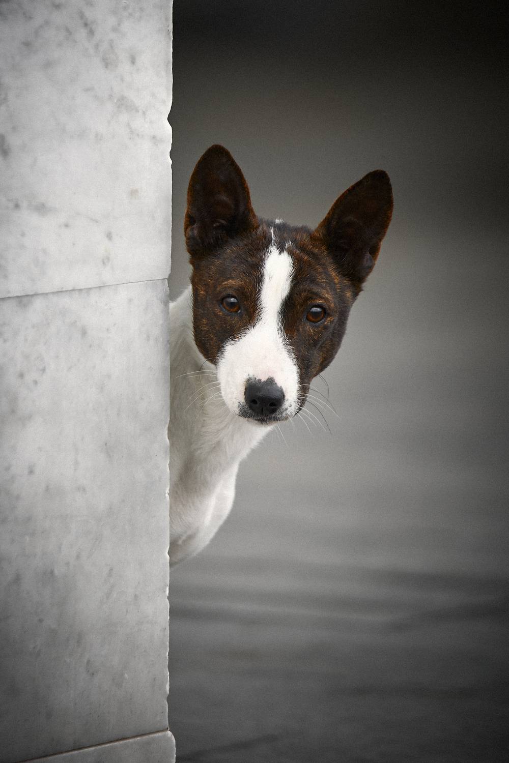 , Вострецов Иван