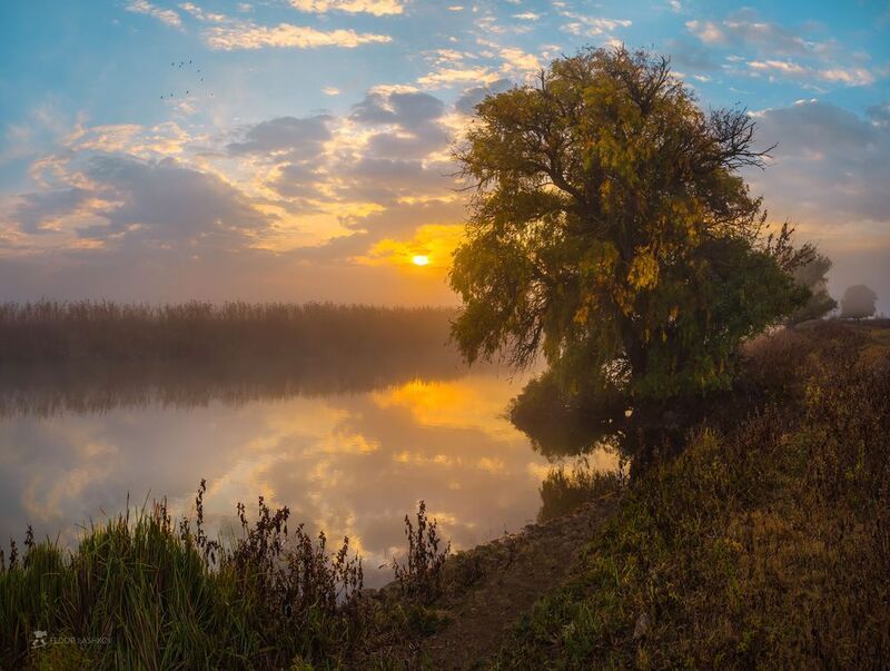 астраханская область, река, вода, волга, заповедник, астраханский государственный биосферный заповедник, осень, солнце, речное, днём, облака, закат, рассвет, туман, ива, дерево, отражение, осенний, Гармония осени на Волге фото превью