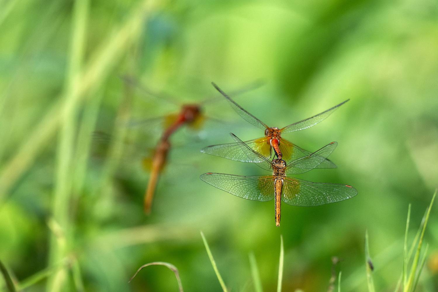 , Кузнецов Кирилл