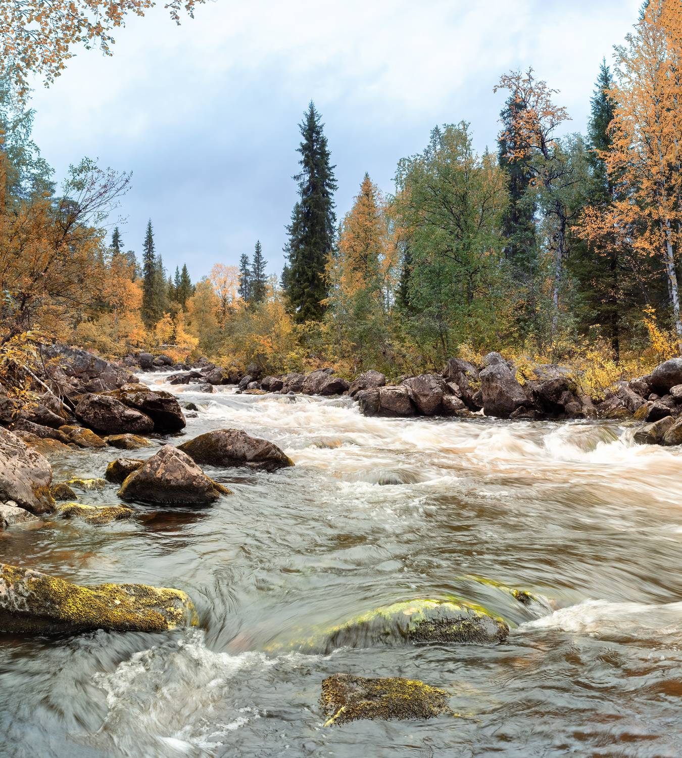 мурманская обл. р.шовна, Ворошилов Александр
