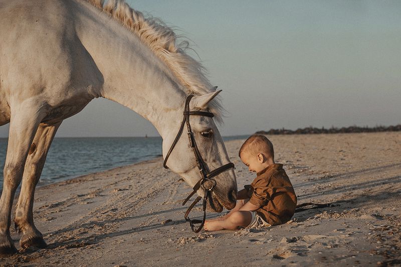 фото превью