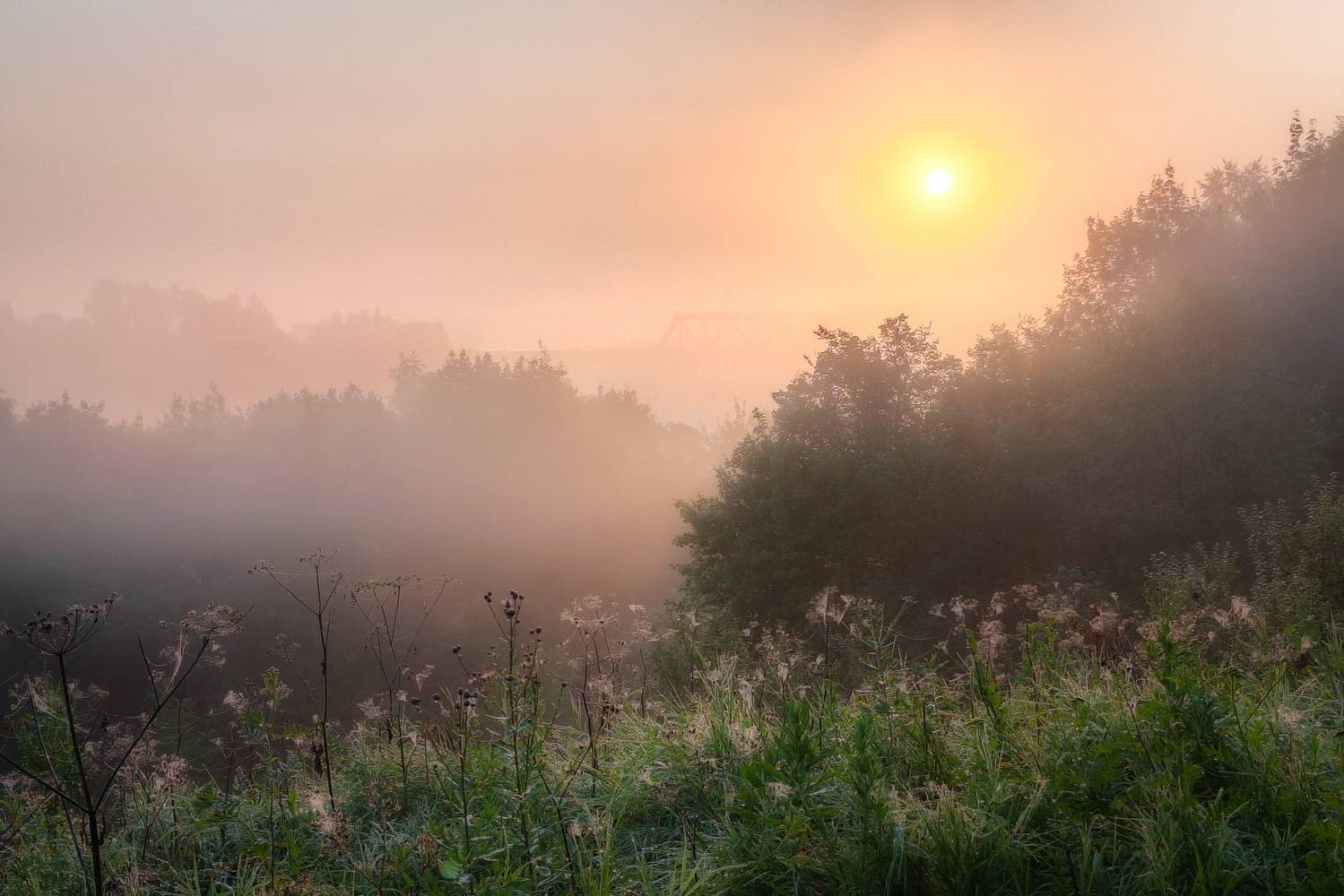, Кондрашова Светлана