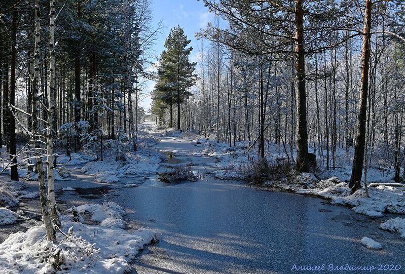 Весна пришла фото превью