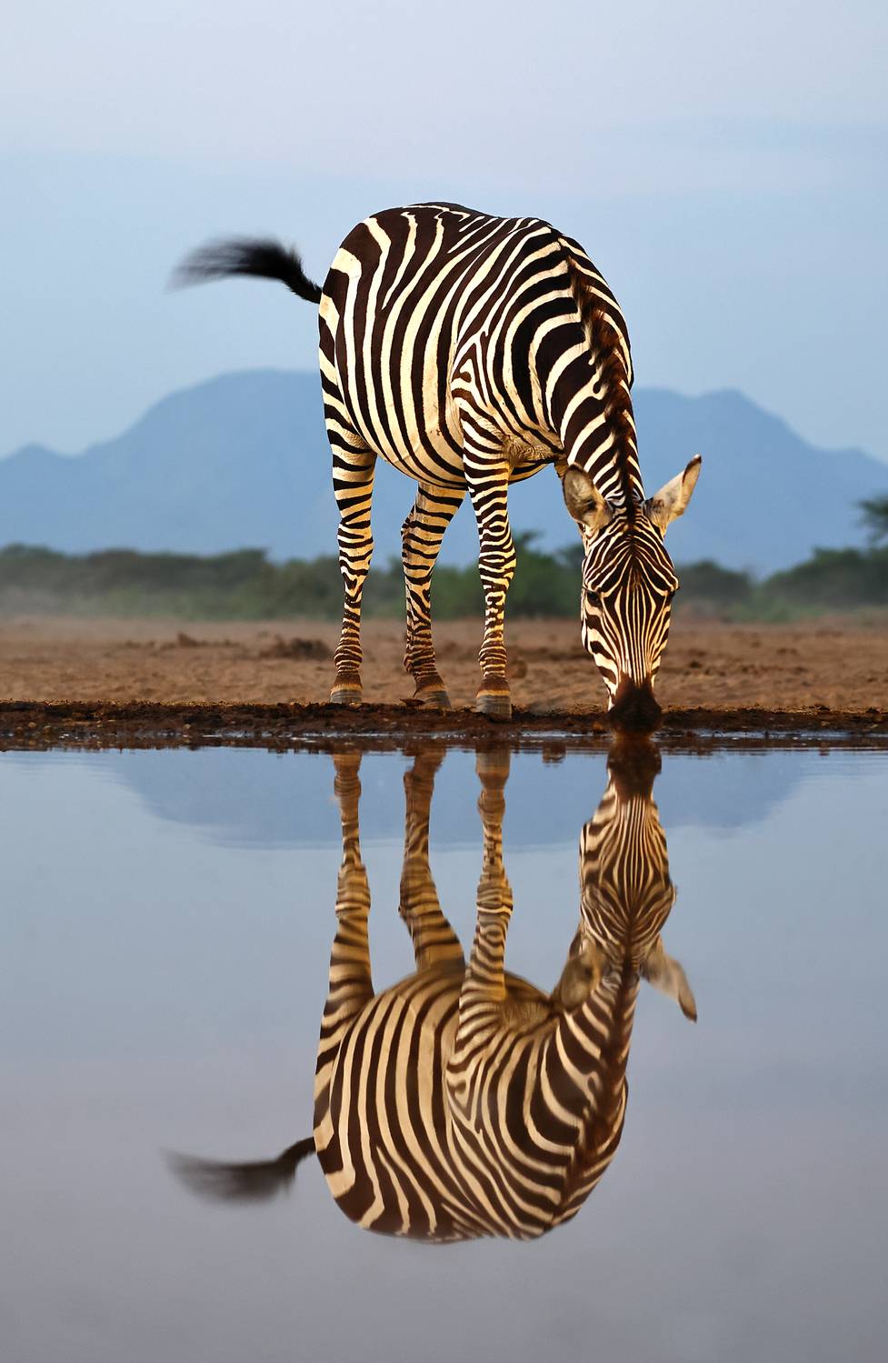 , Гудков Андрей