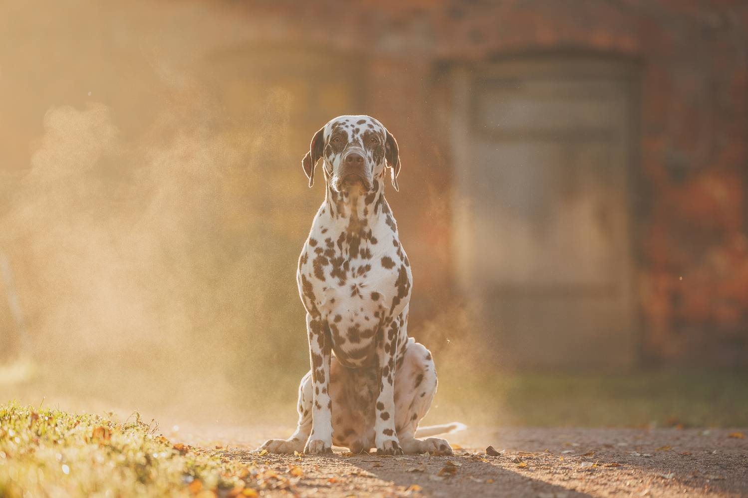 , Яна Нарбутович