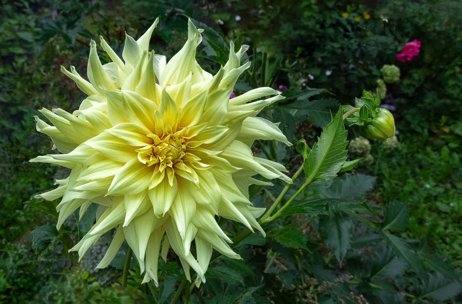 , Ушаков Валерий