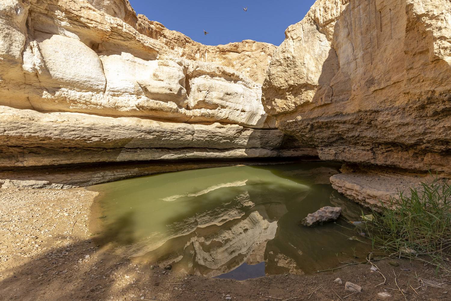 desert, landscape, nature, travel, Nikolay Tatarchuk