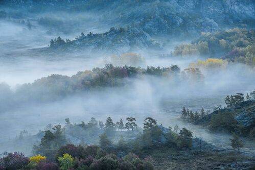 Утро В Кенте