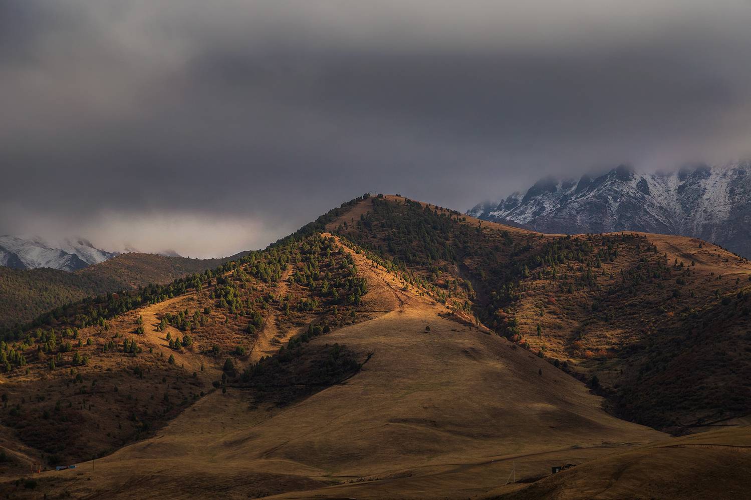 кыргызстан, ала-арча, Элина Магалимова