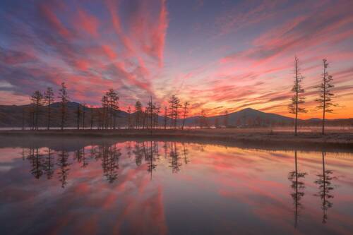 Две сестры и остальные... 