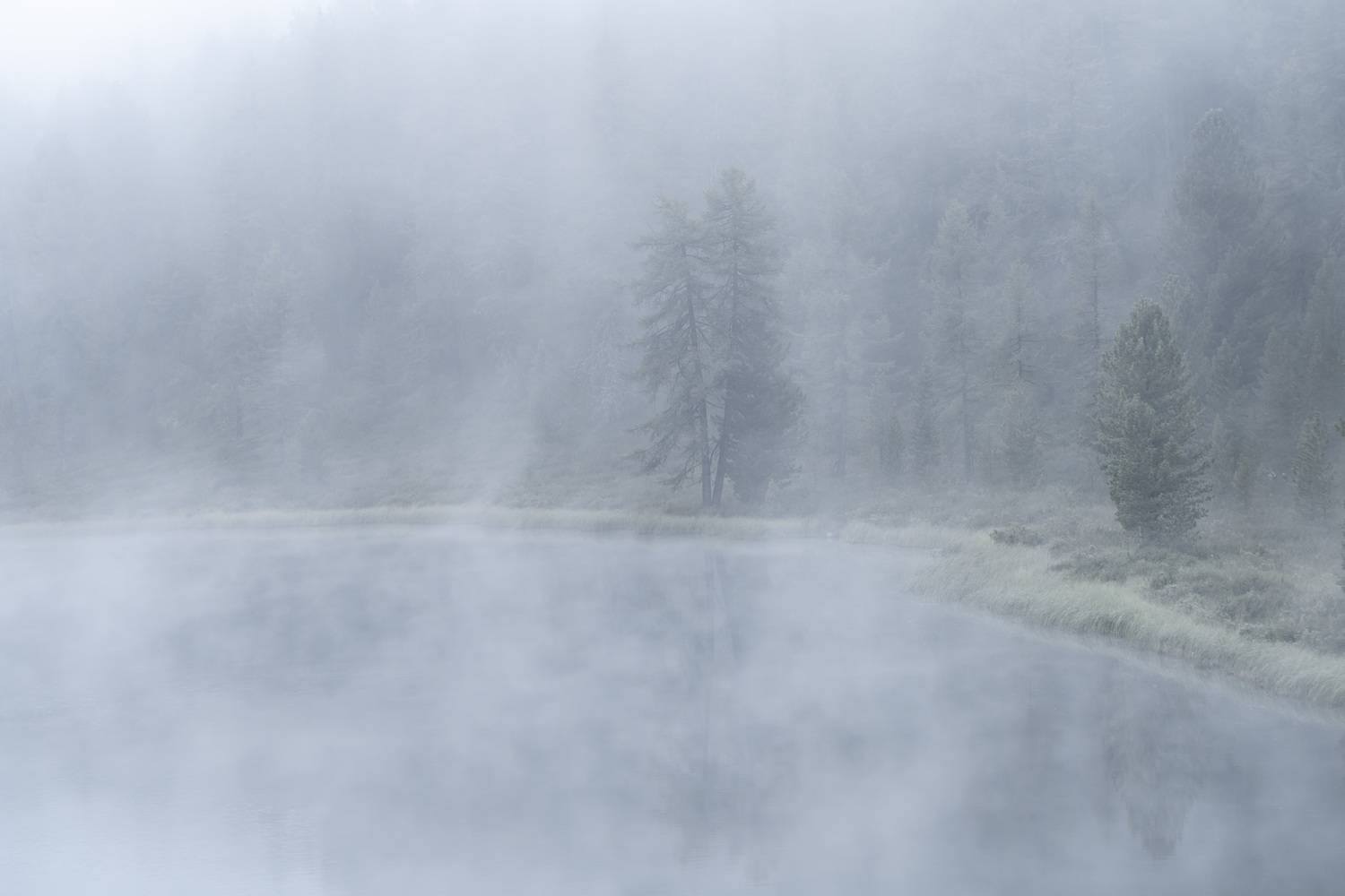 , Важенин Евгений