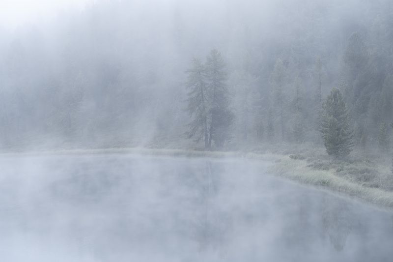 Утренние туманы… Morning fogs... фото превью