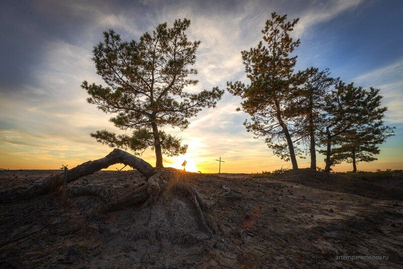 Шрамы на лице Земли фото превью