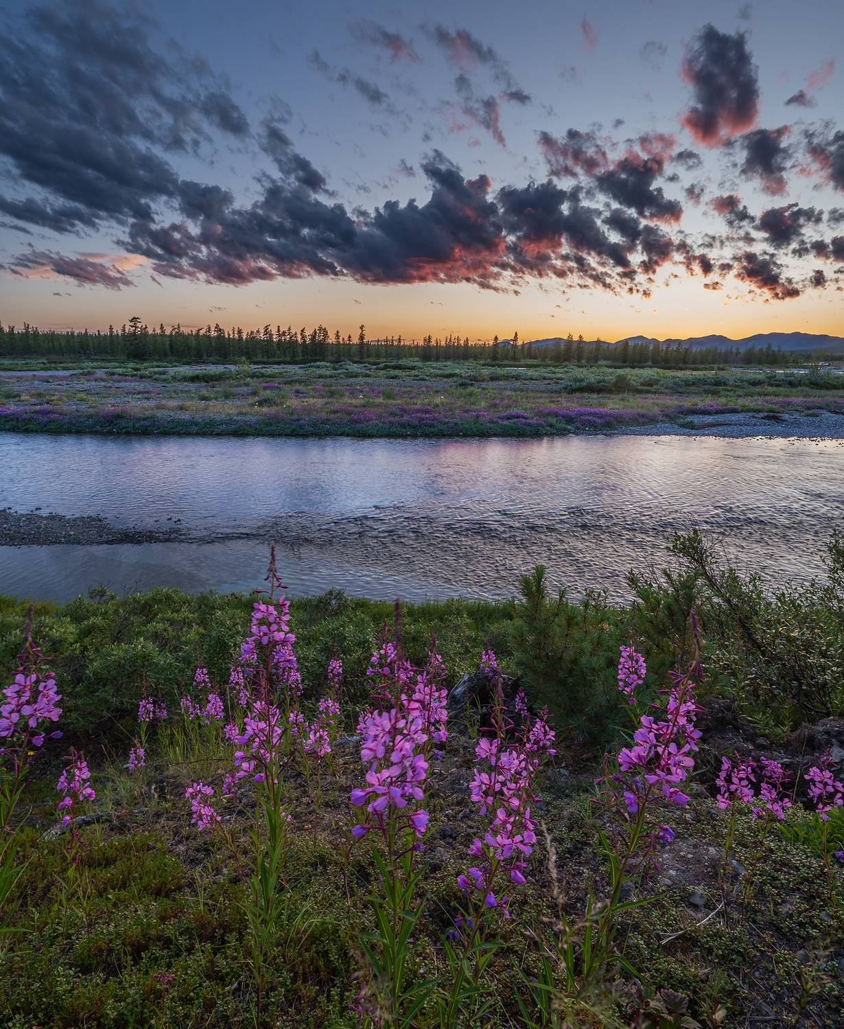 , Андреев Николай