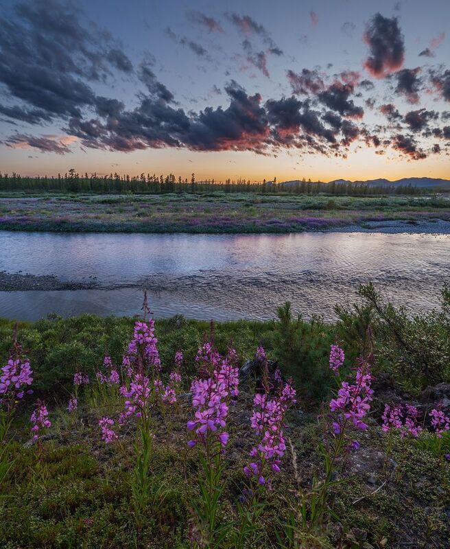 Чукотка 2025 фото превью