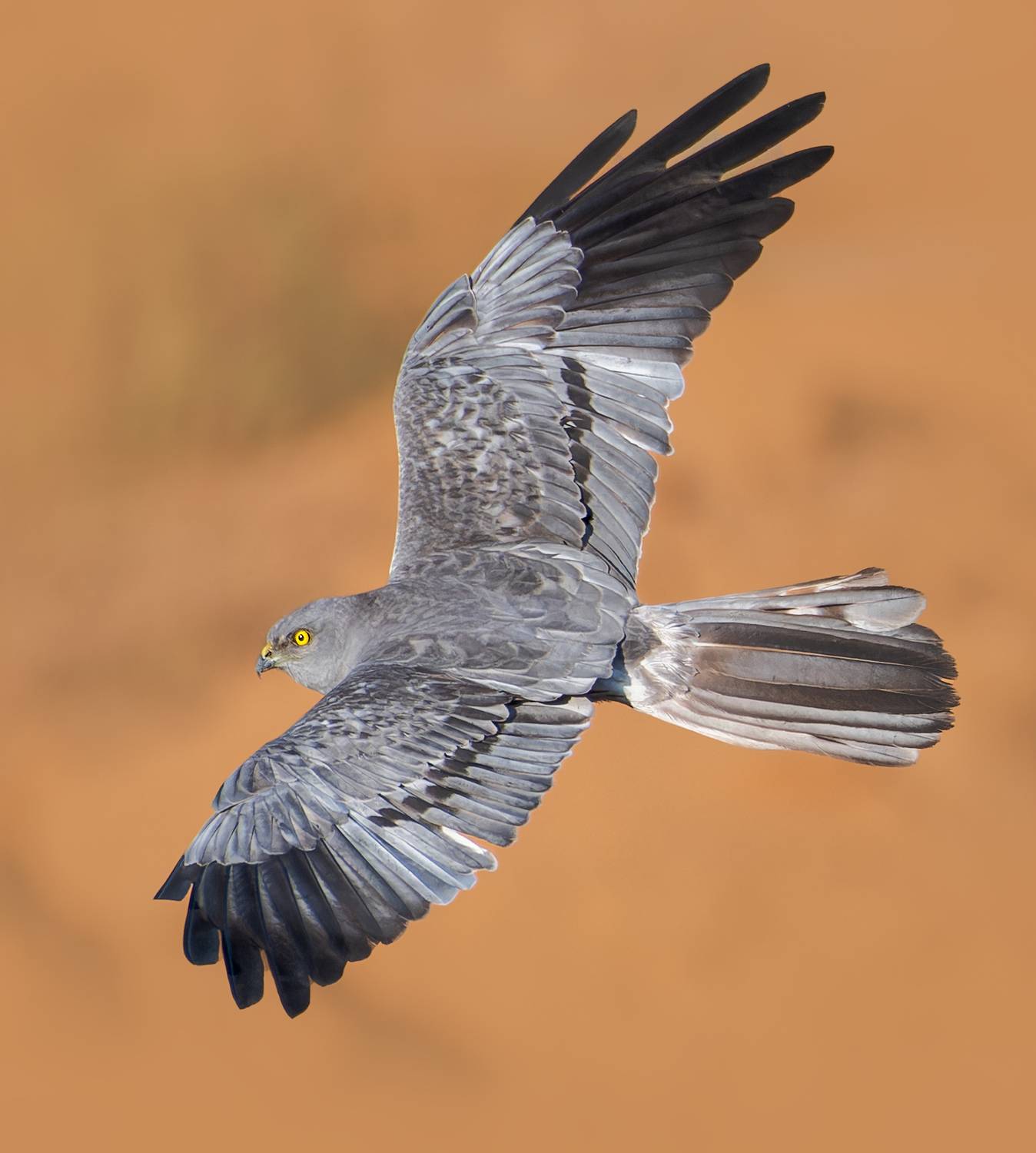 , Фото Александр