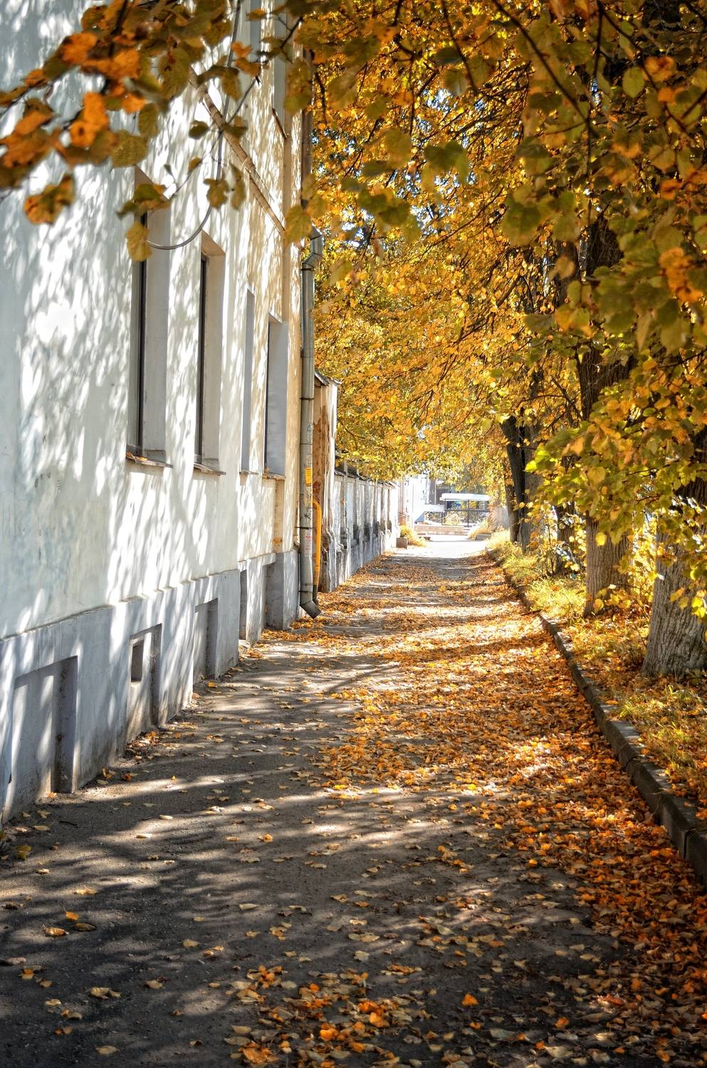 , Сергей Клапишевский